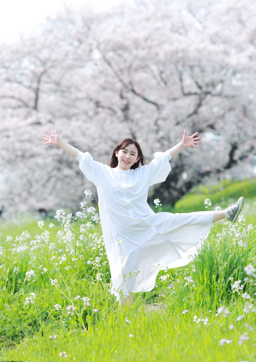 kurowasan11's tweet photo. 2022年桜
モデル　まなさん https://t.co/QMpbhOo8Cw