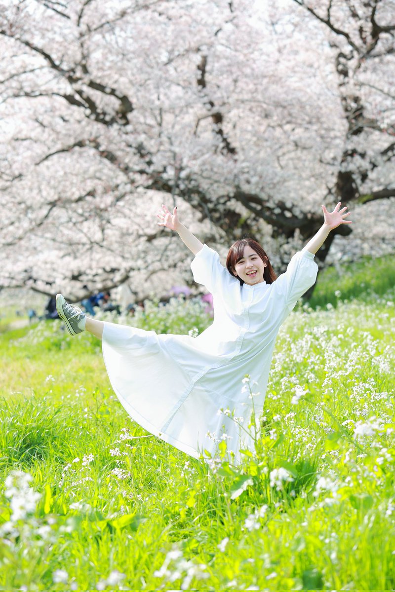 kurowasan11's tweet photo. 2022年桜
モデル　まなさん https://t.co/QMpbhOo8Cw
