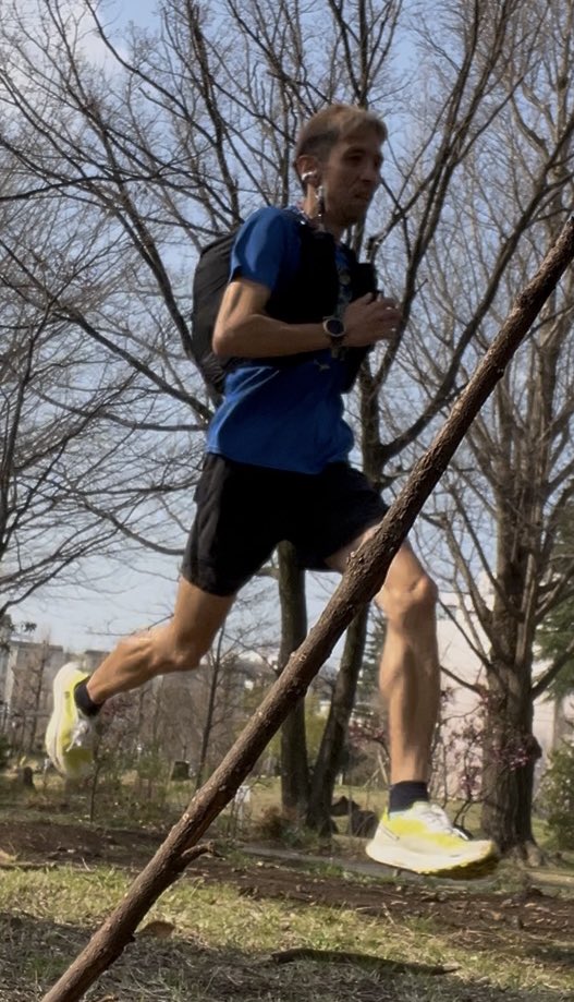 もやしほねほね（破壊と再生） tweet media