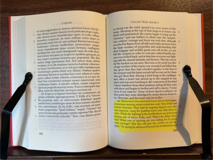 Michael McGill 🏛 tweet media