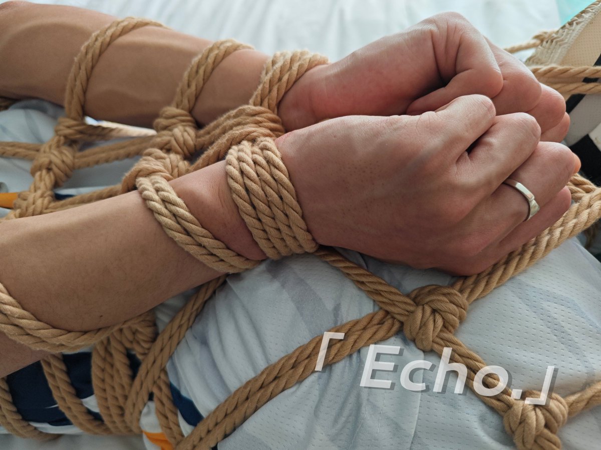 Echo. tweet media