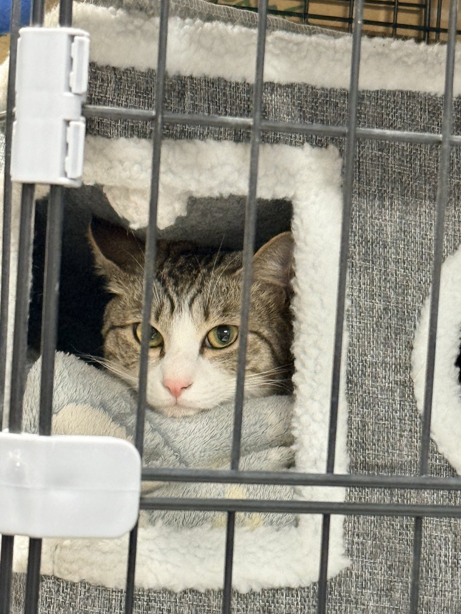 ETOworks@VANE tweet media