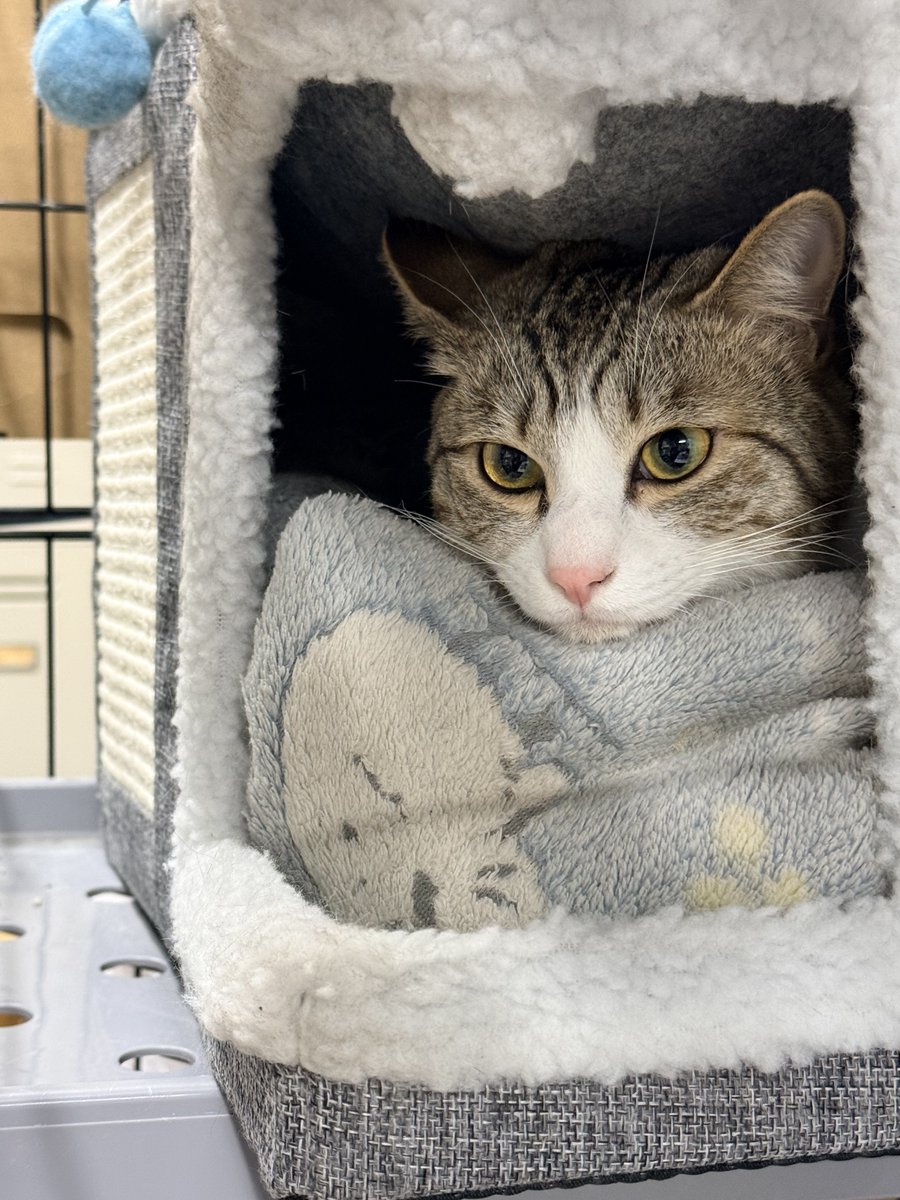 ETOworks@VANE tweet media