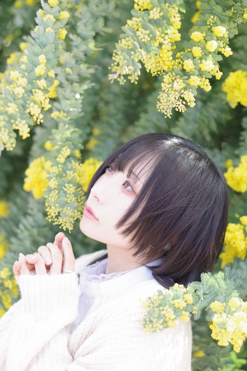 kimura0210 tweet media