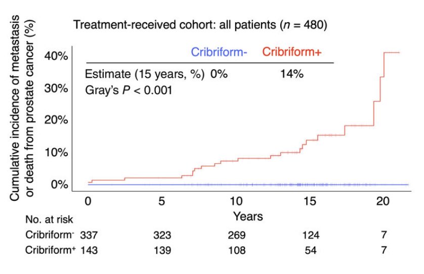 Tyler Seibert - new account tweet media