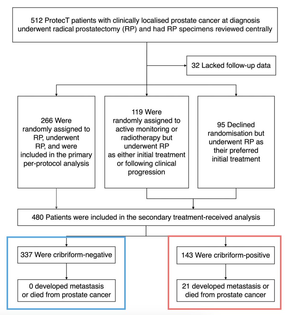 Tyler Seibert - new account tweet media