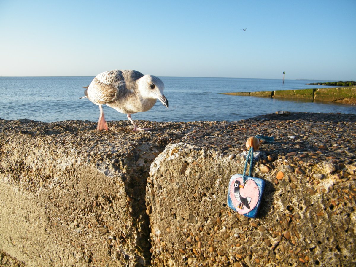 jonnyald's tweet image. down at Felixstowe beach #seagull #keytag #elevenpounds #etsyshop #salesgreat #ocean #friends