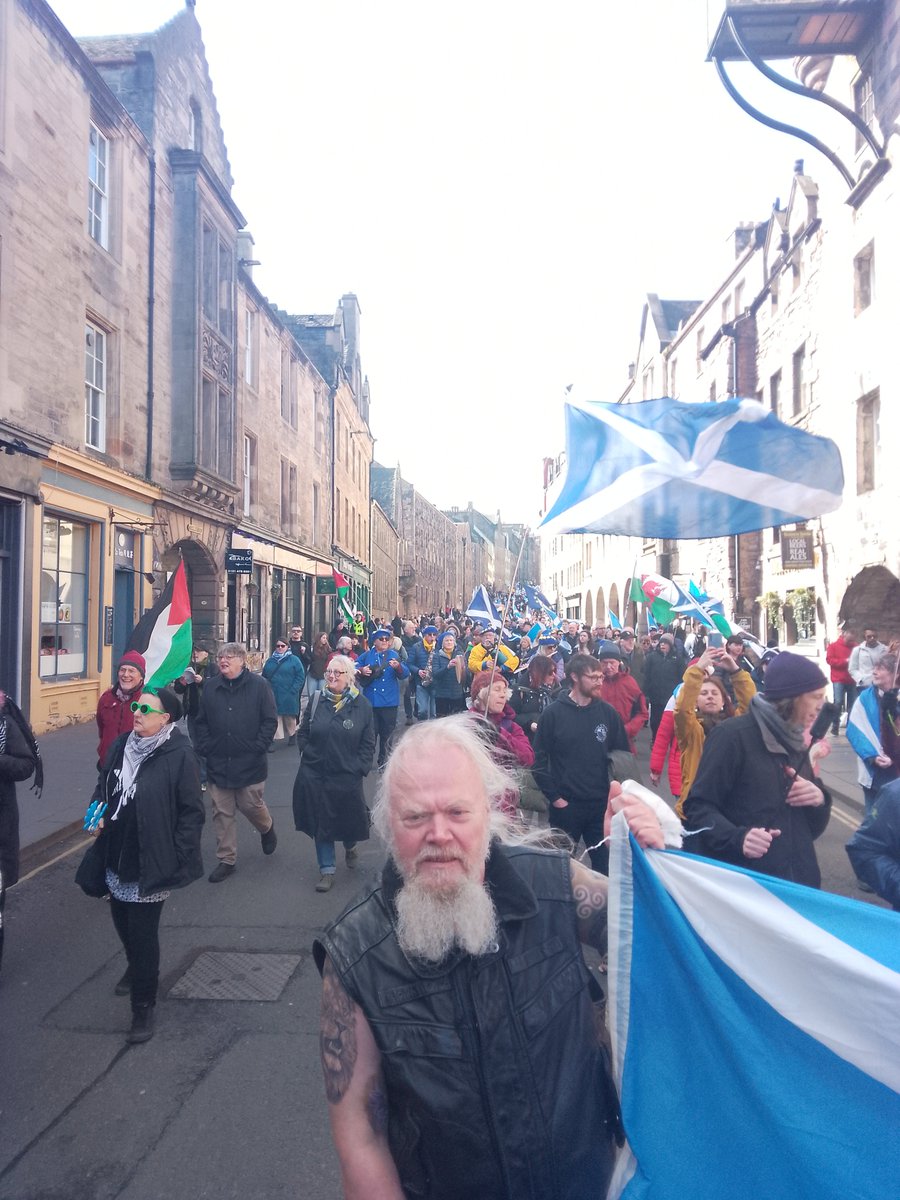 Fiona Morrison tweet media