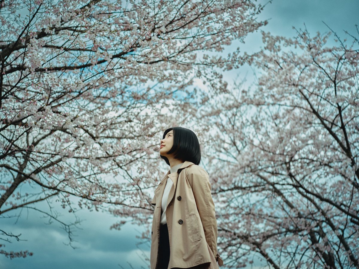 acek_77's tweet photo. 春

#hasselblad https://t.co/dS153V1sxW