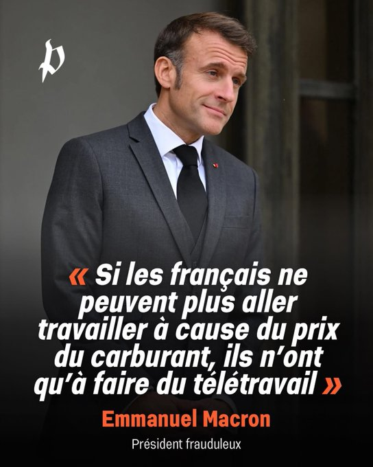 Fleur Morel tweet media