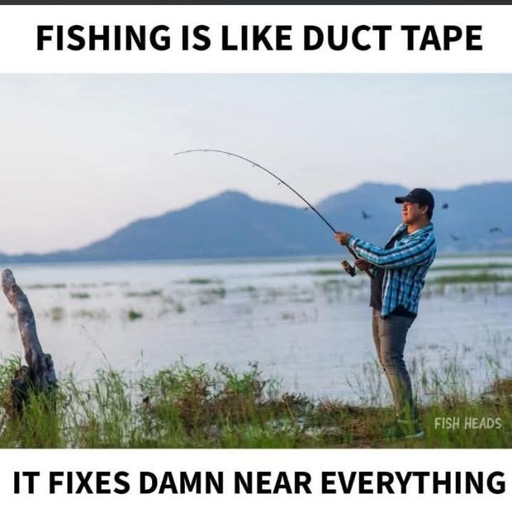 Fishreaper tweet media