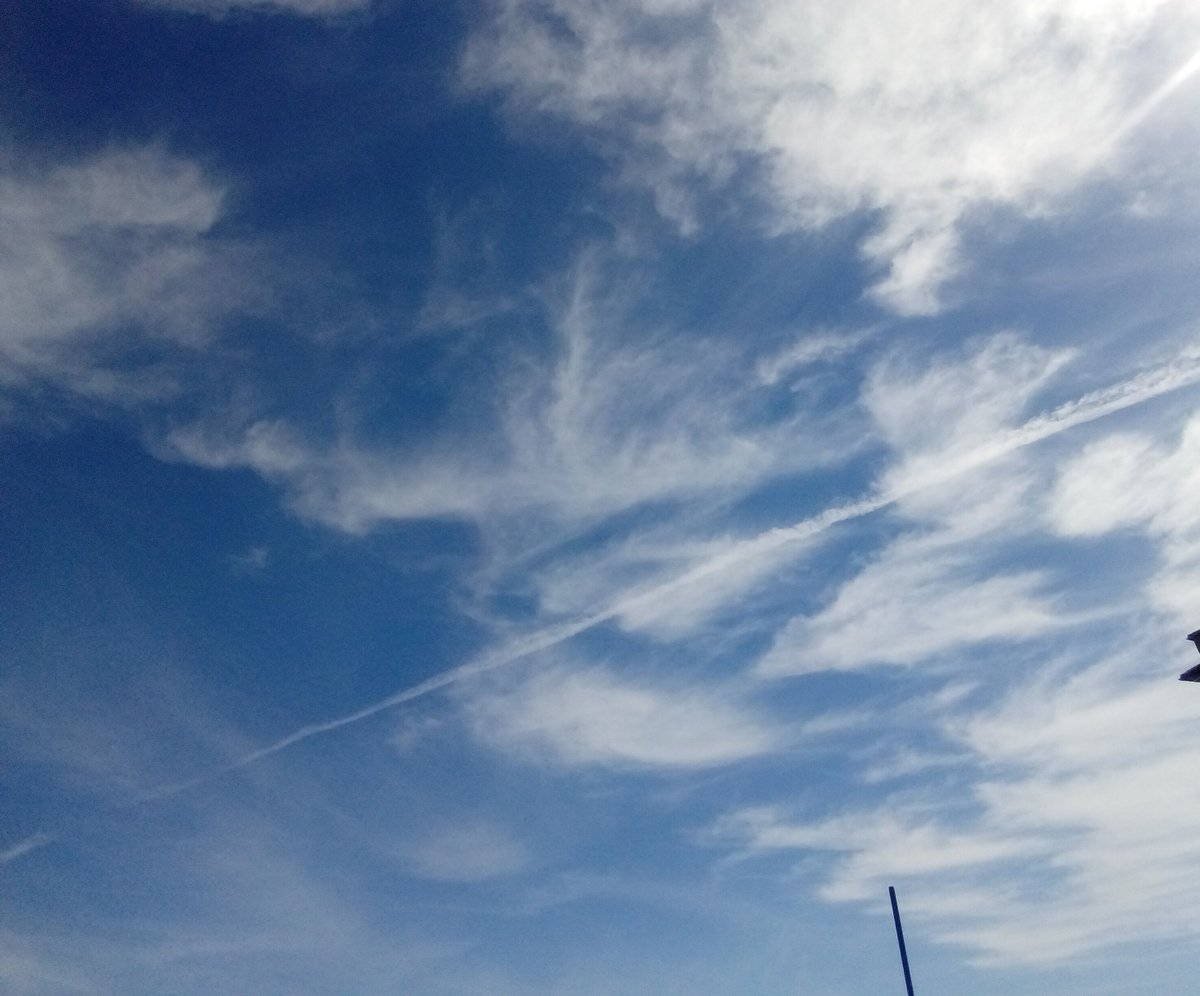 maya つづく tweet media