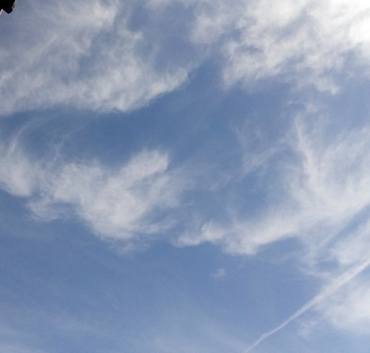 maya つづく tweet media