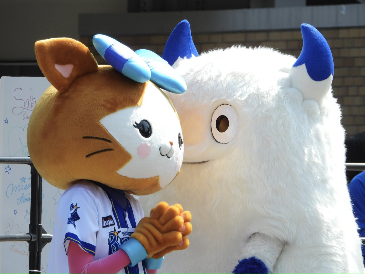 🟡🦭 tweet media