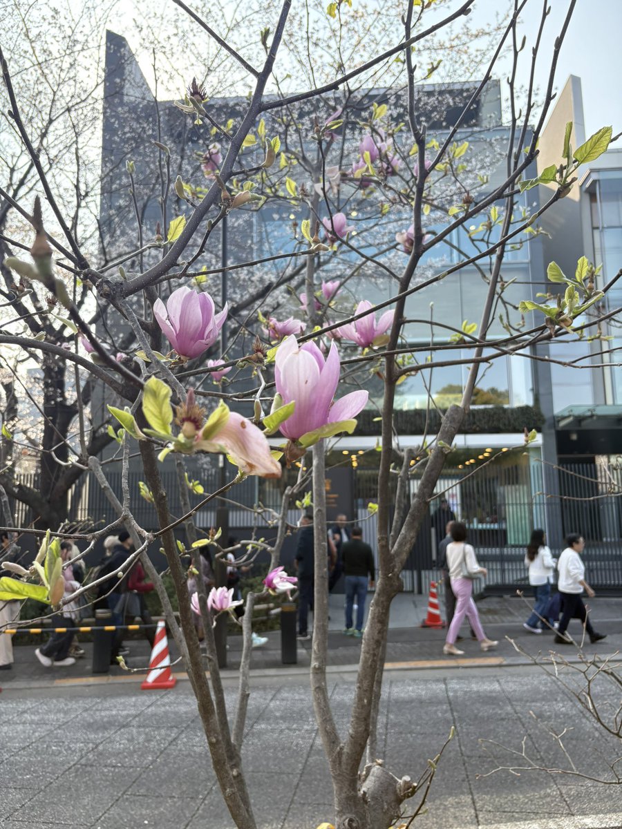 시즈카💎 tweet media