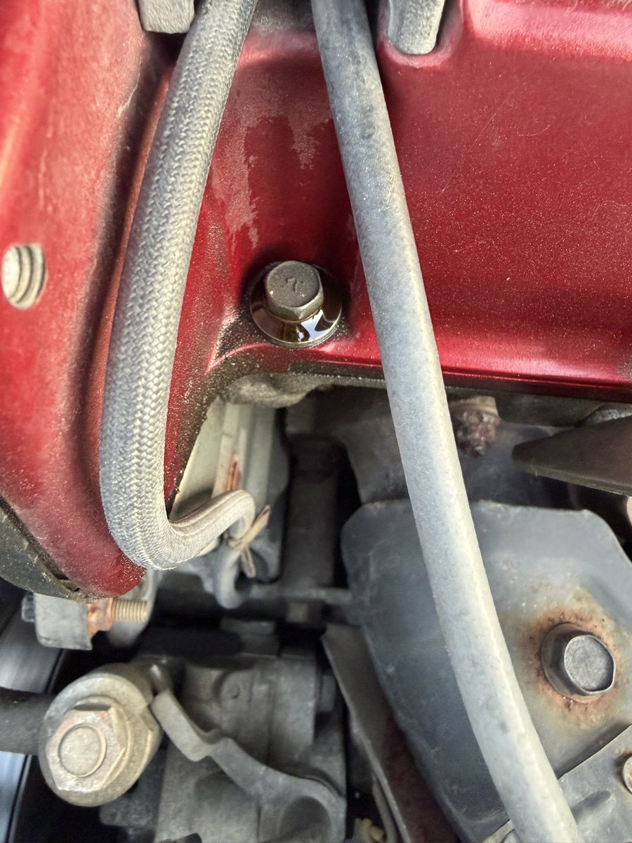 ぐらくん tweet media