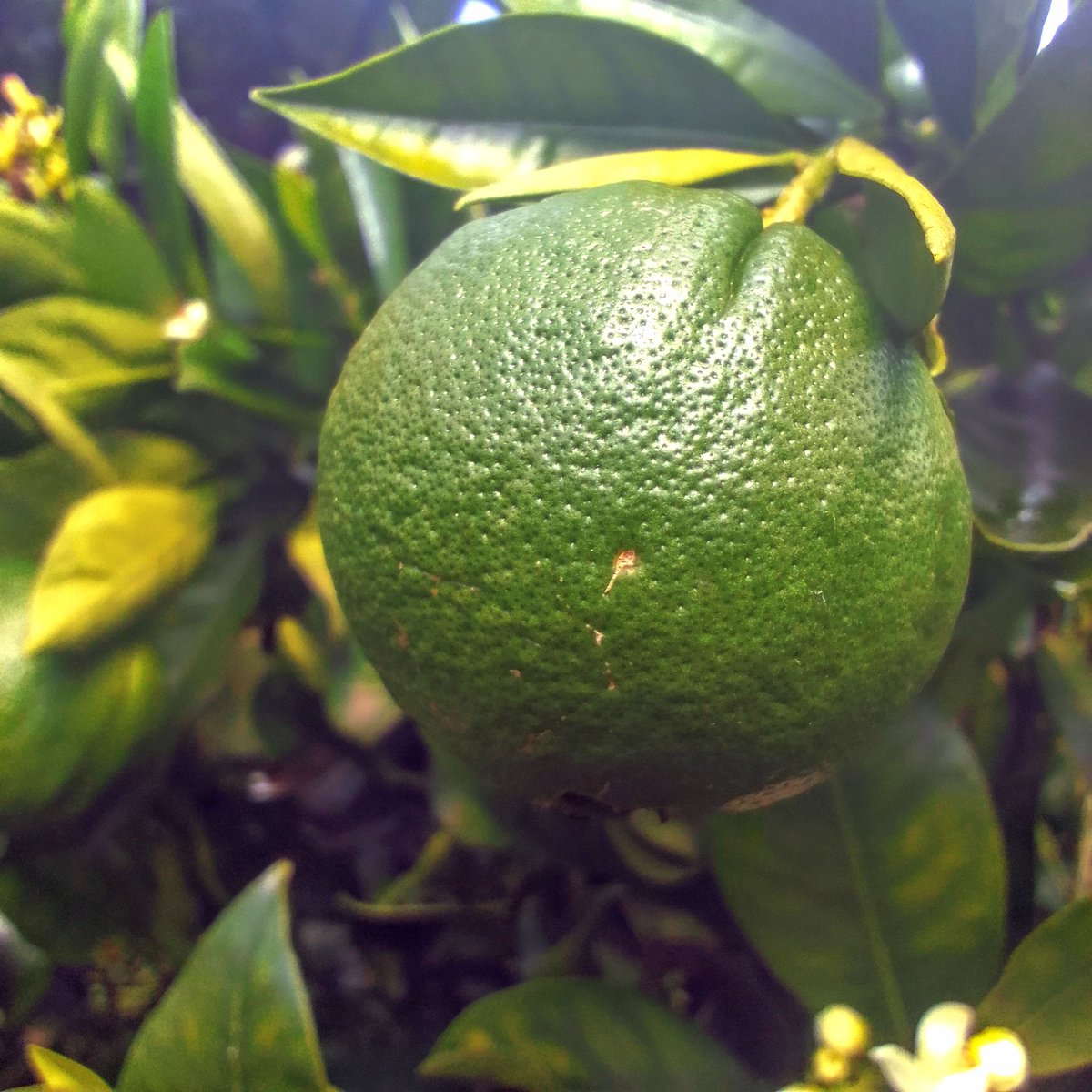 Jerono™🇰🇪 tweet media