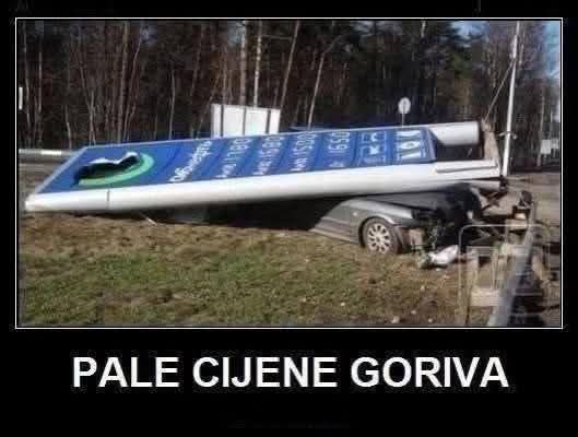 The Ljilja 🐦🐦🐦🐦🐦🐦🐦🐦 tweet media