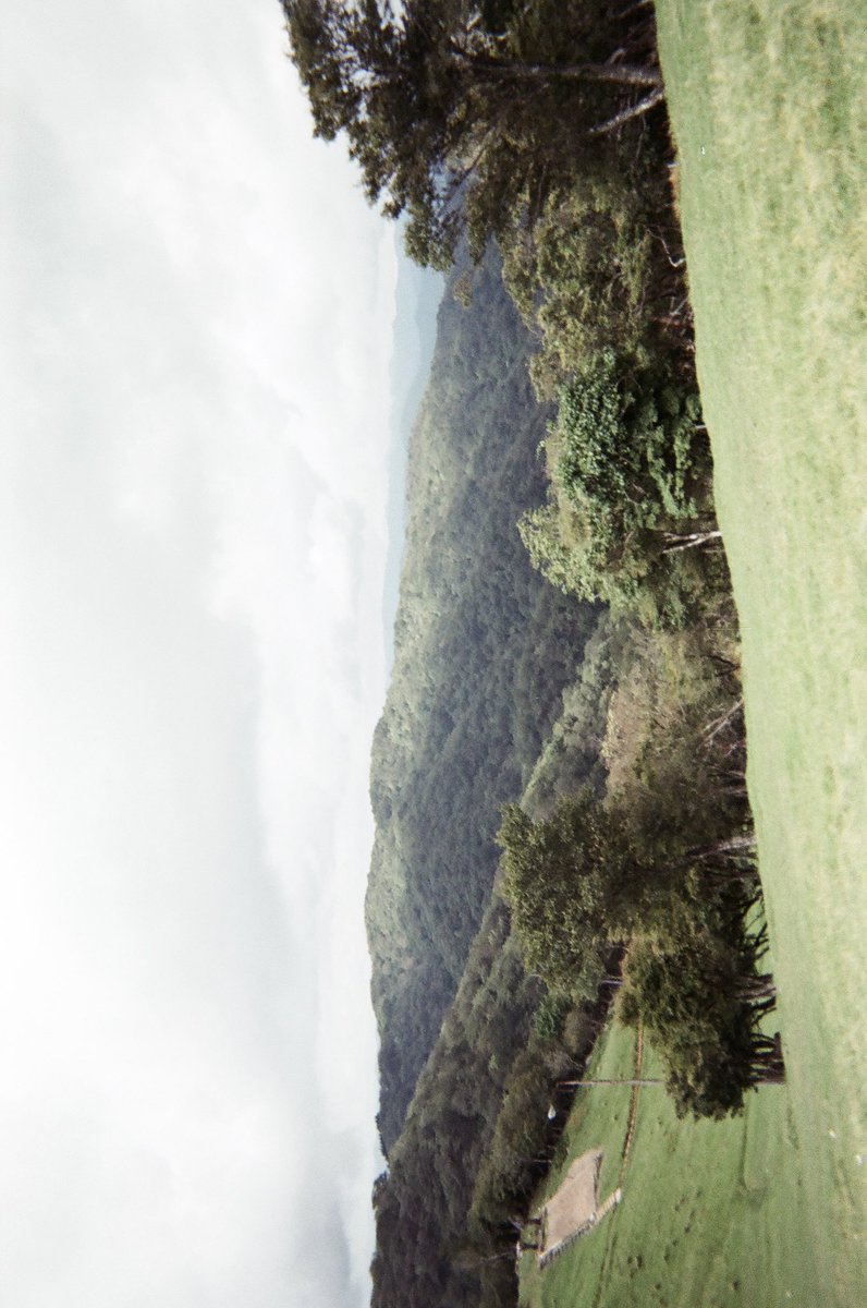 m a r o (@roon__763__) on Twitter photo 