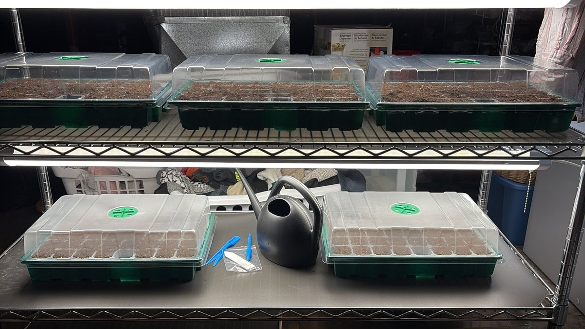 Peter Moutoux tweet media