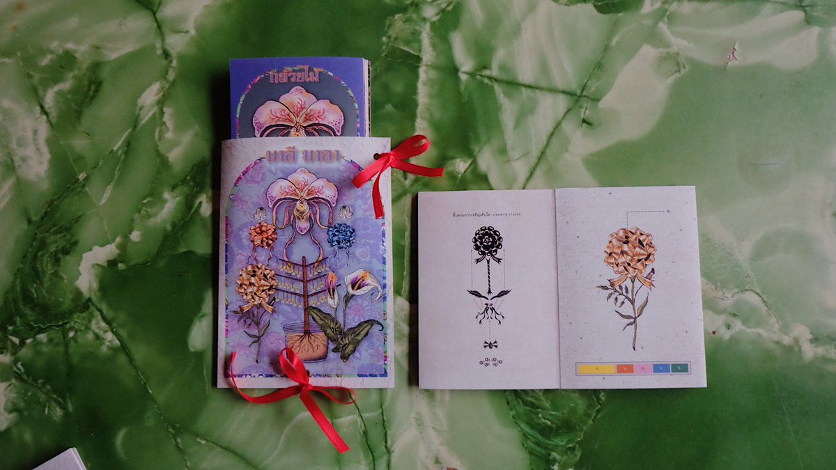 anyahillus 𖦹 tweet media