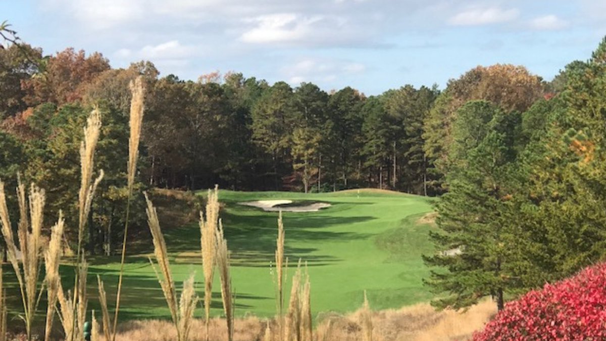 EagleRidgeGlf's tweet image. Sneak out for weekday golf. We won’t tell. Tee is open ... relax and enjoy the day. ⛳

eagleridgegolf.com/book-tee-times/

 #GolfCourse #TeeTime #GolfLife #GolfTime #GolfVibes #GolfRelax