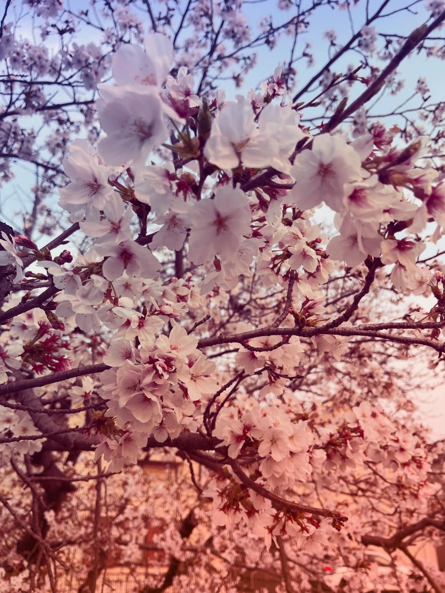 ずみこ(出海尚也) tweet media