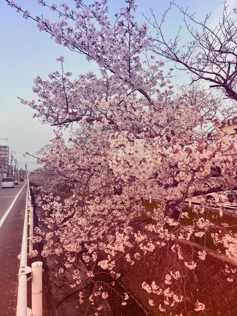 ずみこ(出海尚也) tweet media