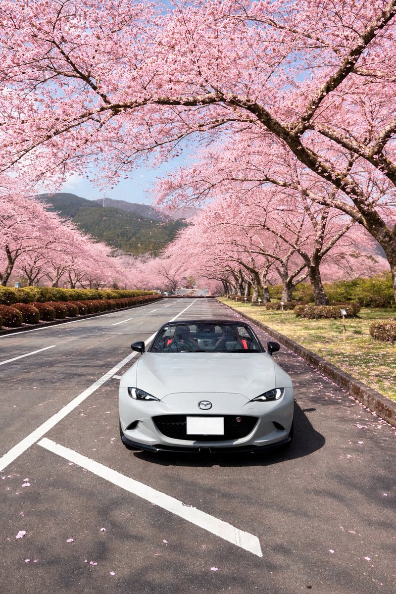 けんち@MSpRロードスターコアモデル tweet media