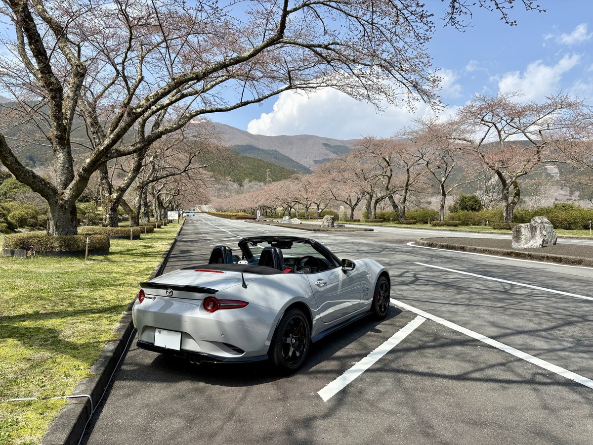 けんち@MSpRロードスターコアモデル tweet media