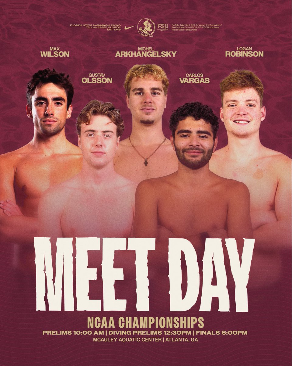 FSU Swimming/Diving tweet media