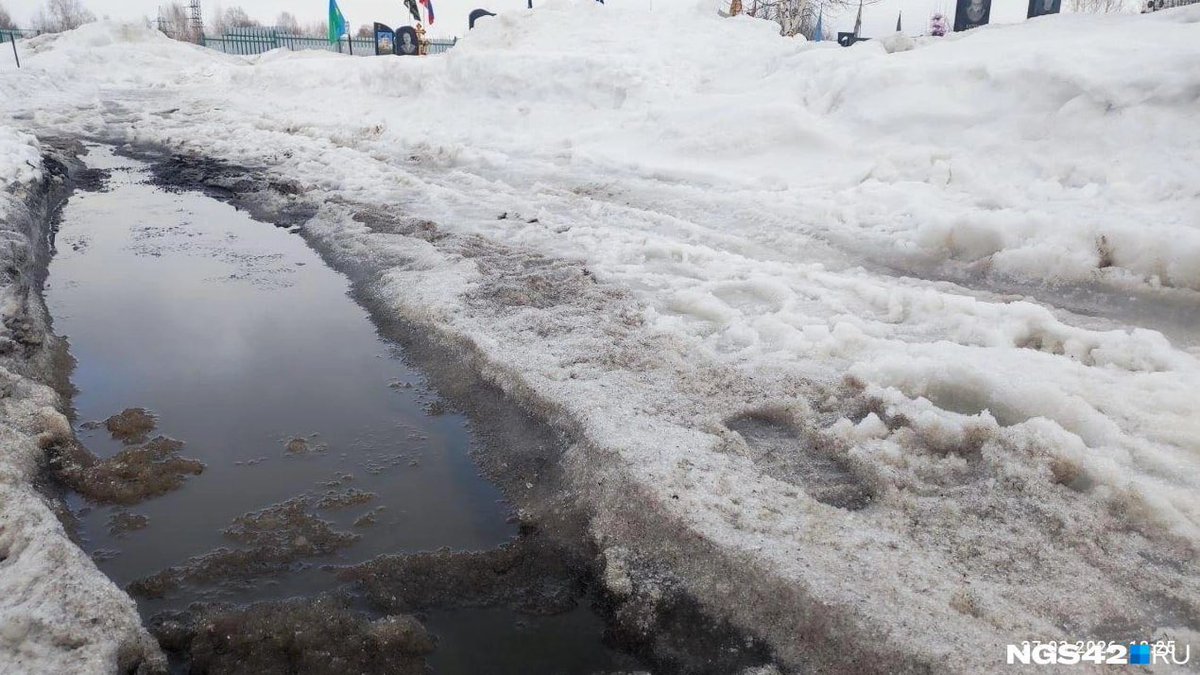 карайло 🤼‍♀️ tweet media