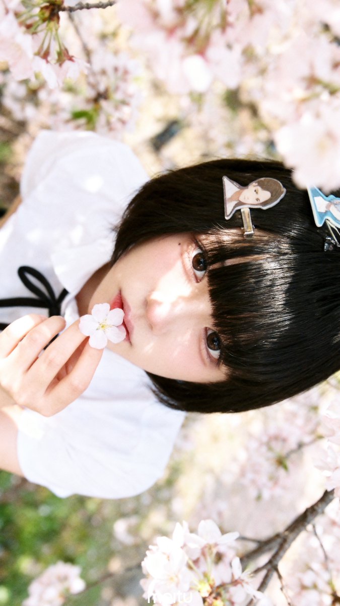 あいり tweet media