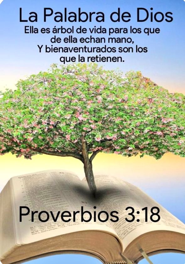 AnnmaTellez's tweet image. Proverbios:3:19.📖🔥✨
#YHWH 🙌 Con #Sabiduria fundó la tierra 🌏 😌 🙌
Afirmó los Cielos con Inteligencia✨🙏🙏🙏✨