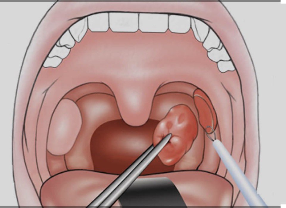 شيماء سبت Shaima Sabt tweet media