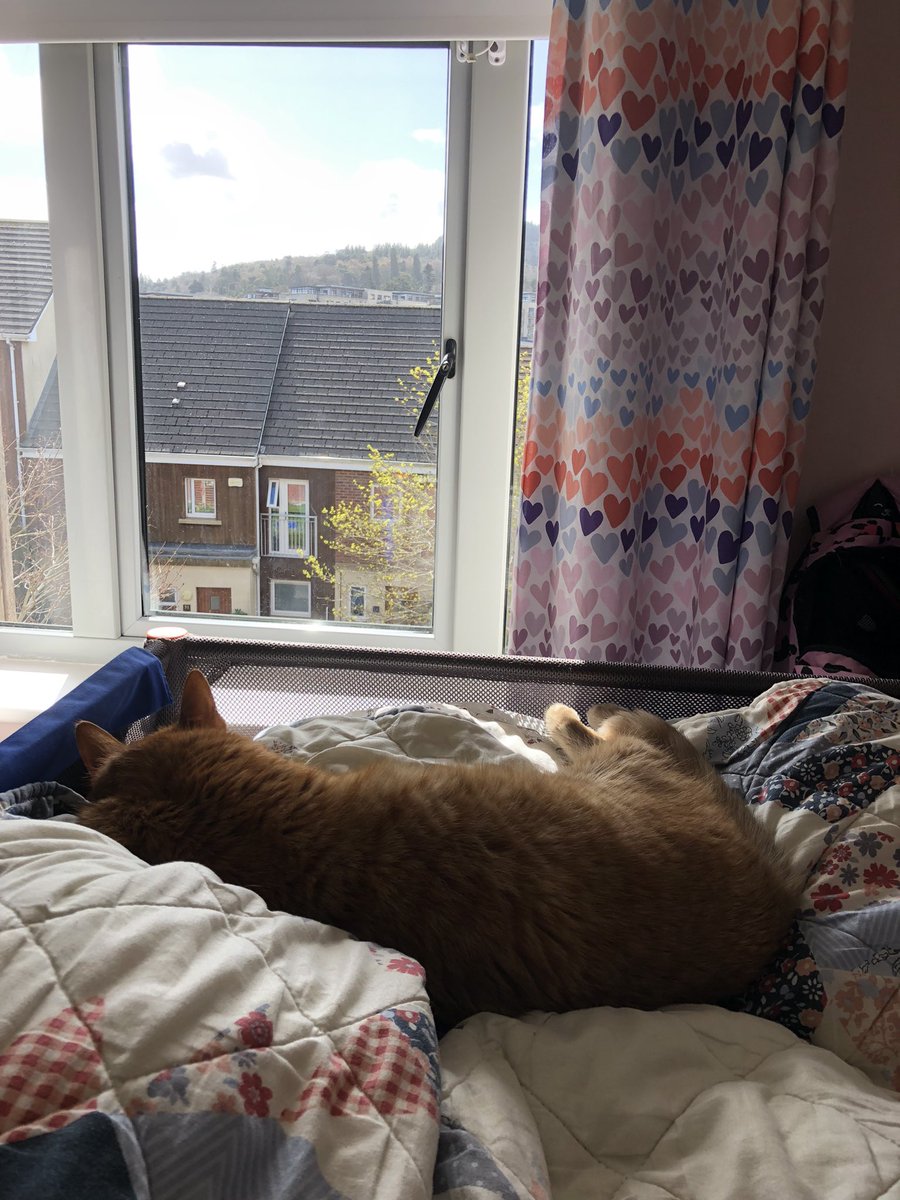 Иж Вам Дам tweet media