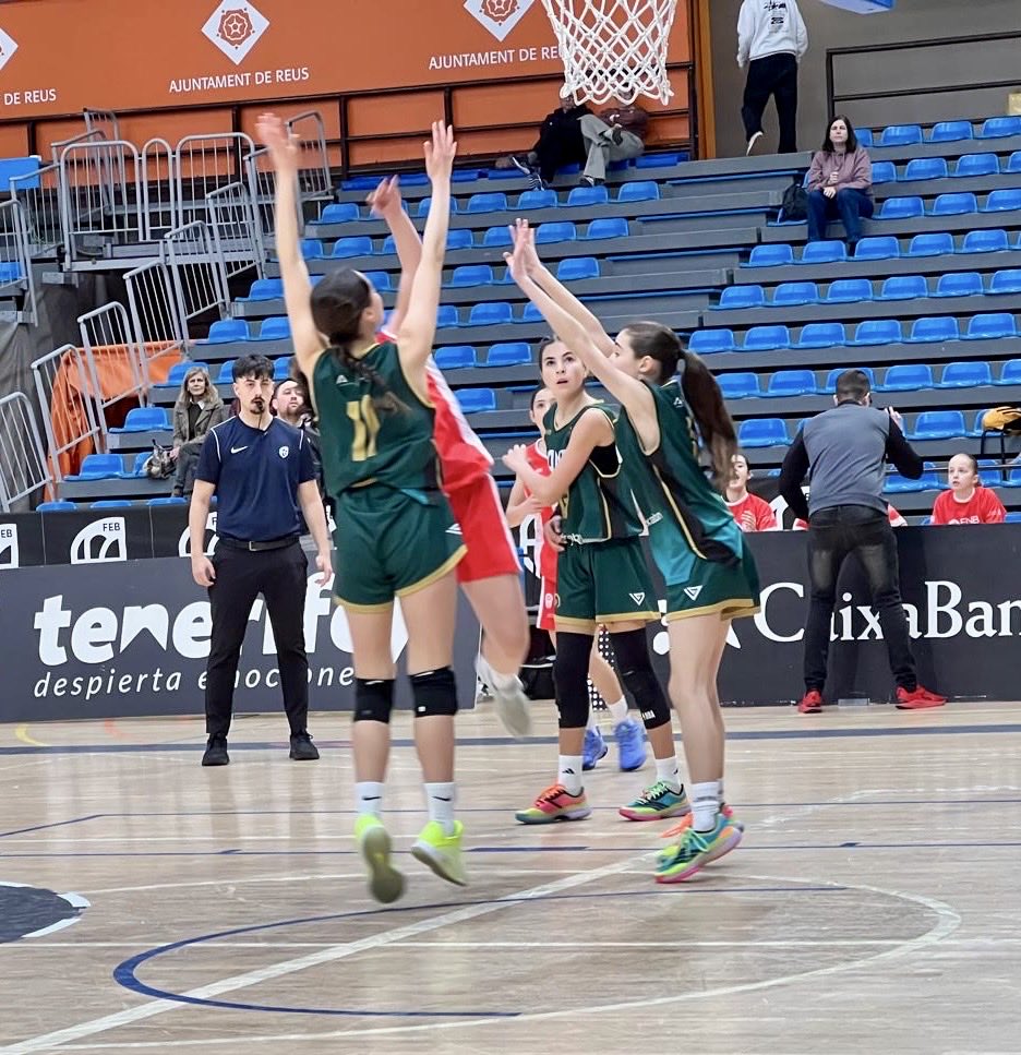 Federación Navarra de Baloncesto tweet media