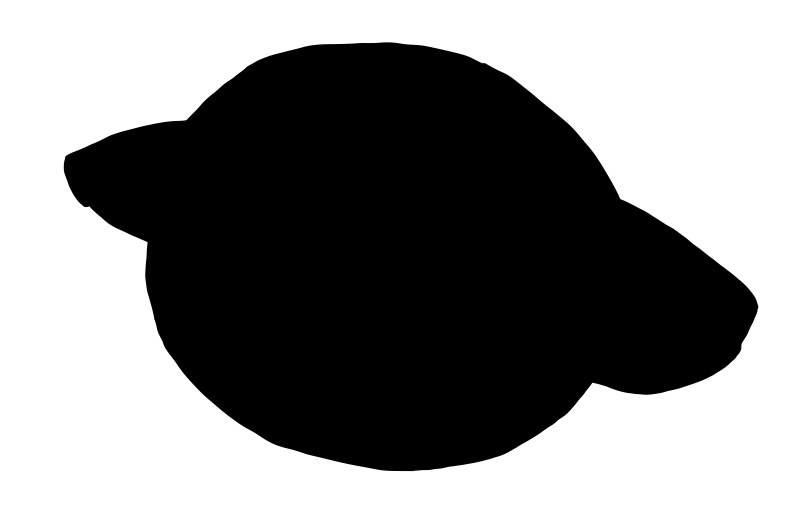 あきとも(ゾロア)🐱💜😈/🔥🍵/🦴🌊 tweet media