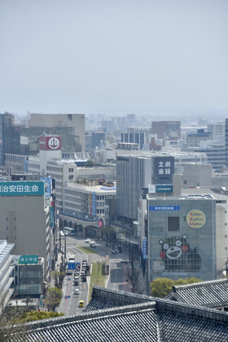 とらまる tweet media