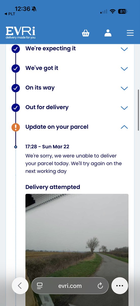 Elizabeth ✨ tweet media