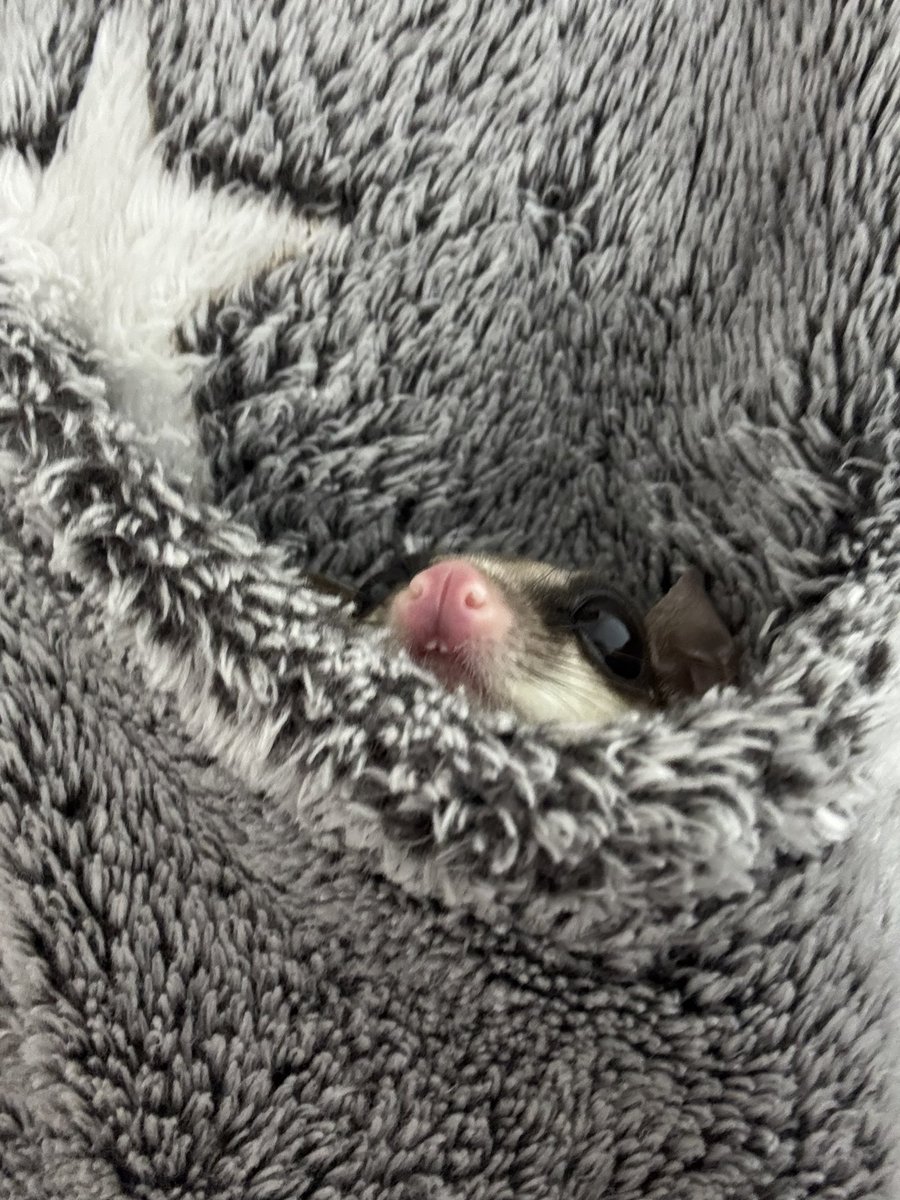 じゅん📘💧🎀📖 tweet media