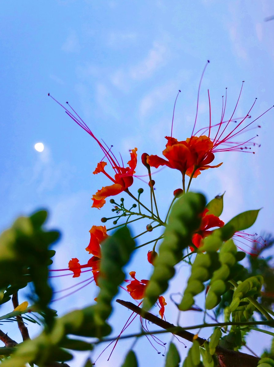 Kaji Salim tweet media