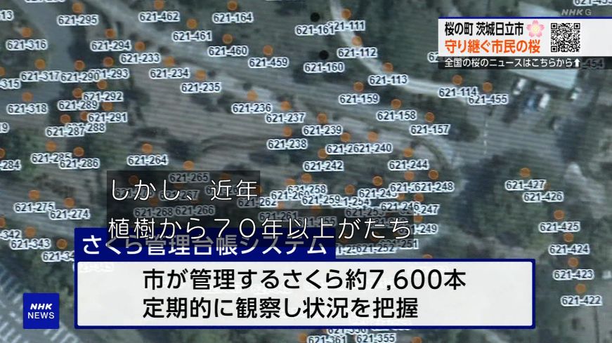 ゆるふわ怪電波☆埼玉 tweet media