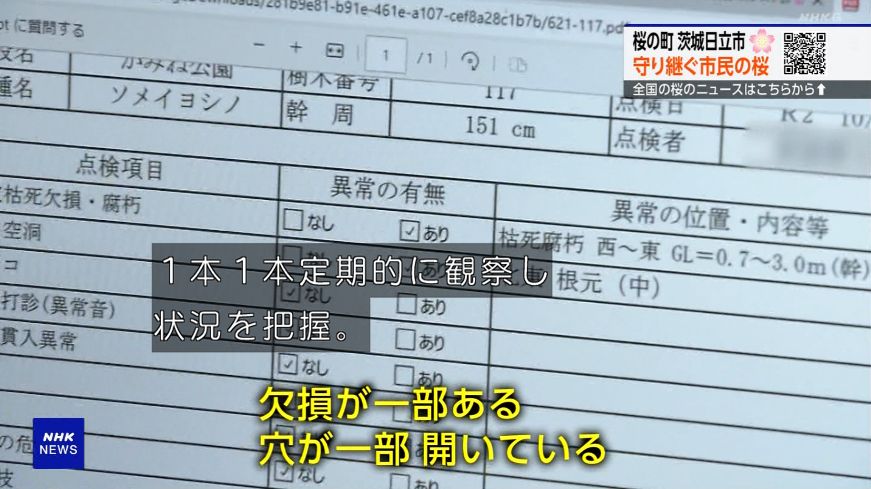 ゆるふわ怪電波☆埼玉 tweet media