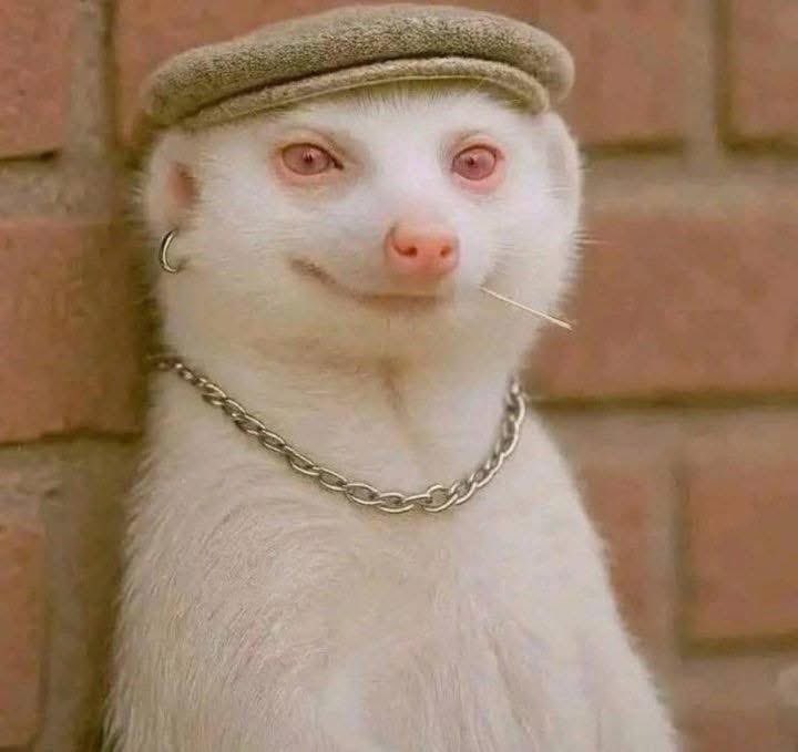 LarryJa¥😏🦅 tweet media