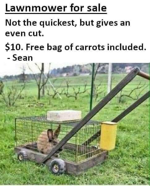 Papa Woof und Krampus und Bleaken tweet media