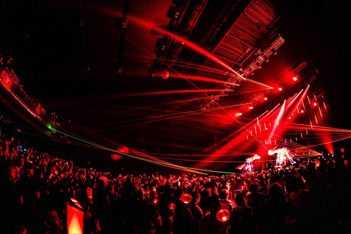 DUSTCELL tweet media