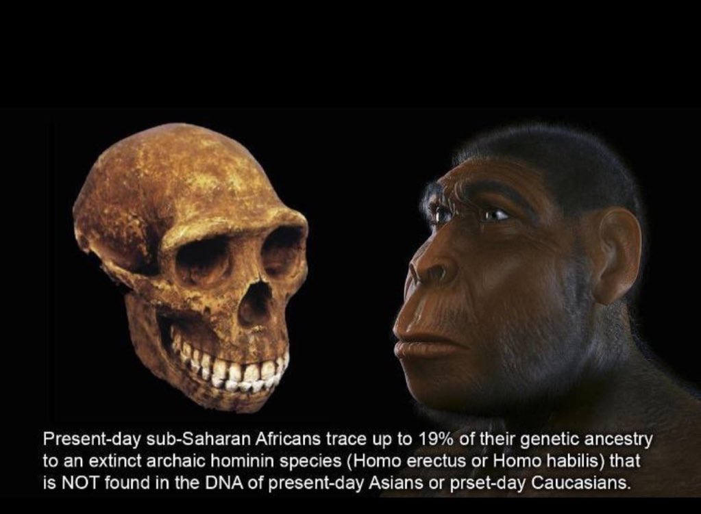 milk of the earth tweet media