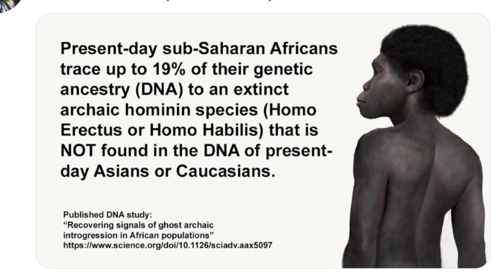 milk of the earth tweet media