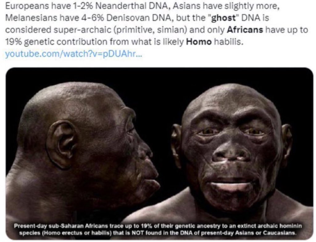 milk of the earth tweet media